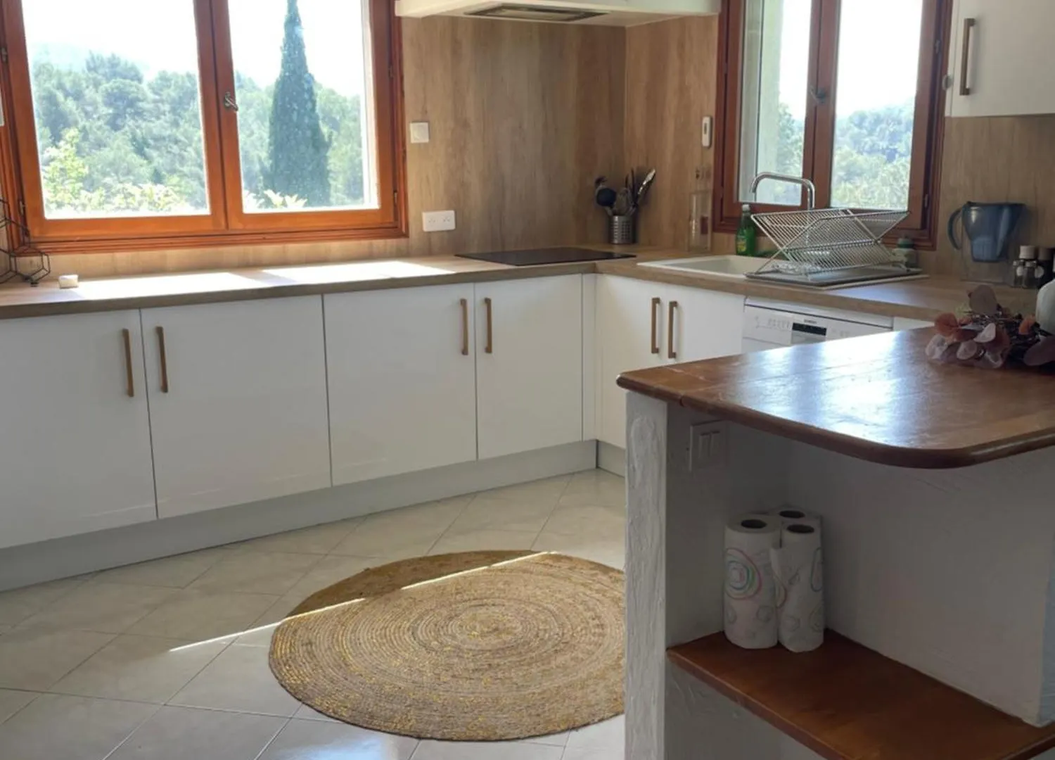 Appartement Charme Provencal Pres De Nice Blausasc