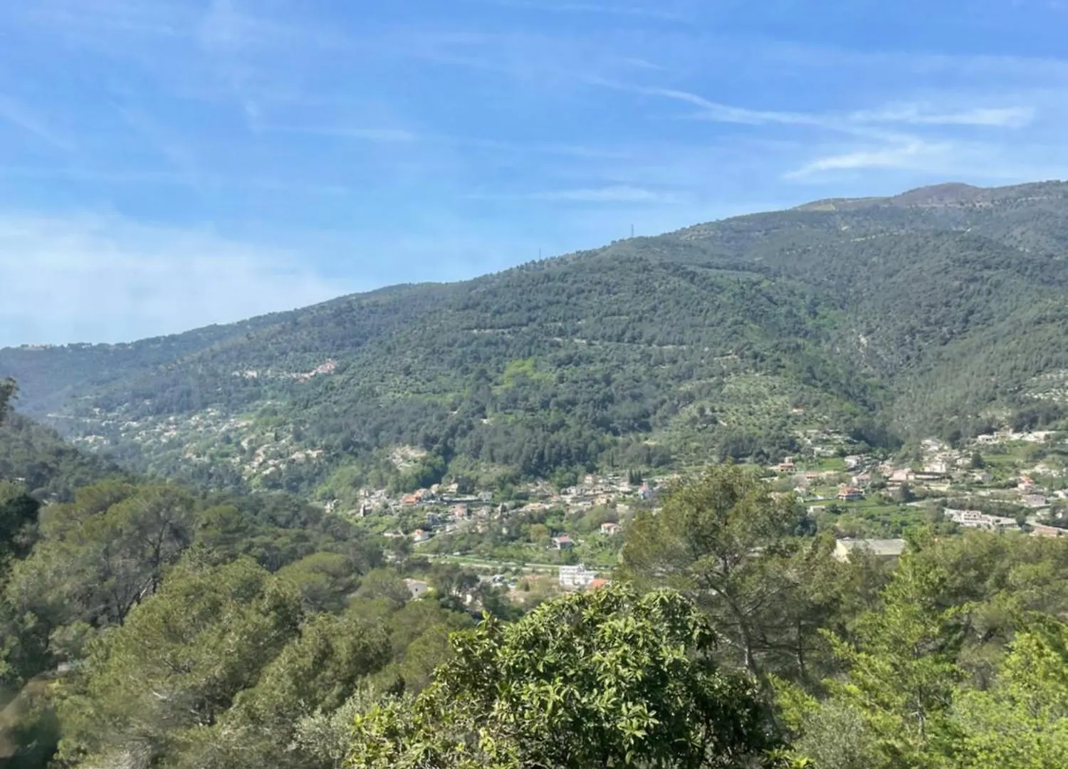 Charme Provencal Pres De Nice Blausasc Appartement